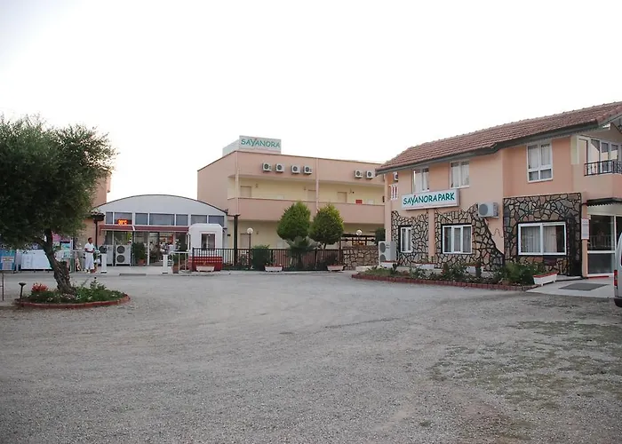 Sayanora 3*